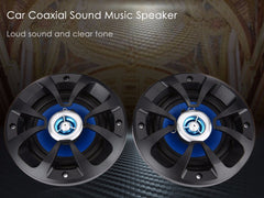 Car Coaxial Speakers