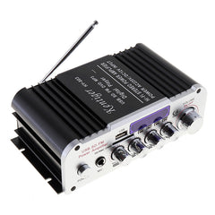 HI-FI Bluetooth Amplifier