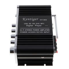 HI-FI Bluetooth Amplifier