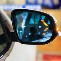 View Mirror LED Arrow