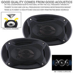 Car Door Speakers