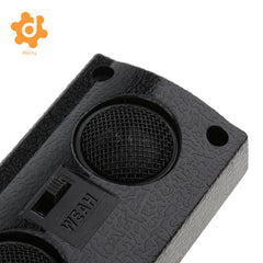 Car Dual Speakers