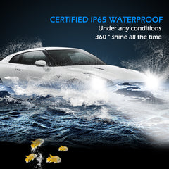 Auto Replacement Bulbs