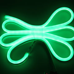 Neon LED Flexible Strip Light