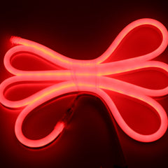 Neon LED Flexible Strip Light