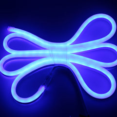 Neon LED Flexible Strip Light